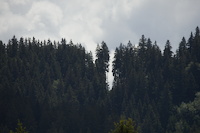 img4