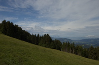 img7
